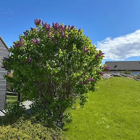 Exclusive House In Villa *
